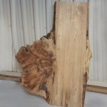 Maple slab with burl