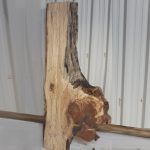 Spalted Maple with Burl