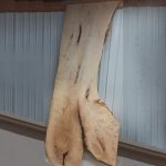 Maple slab table top