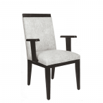 Dorsa arm chair