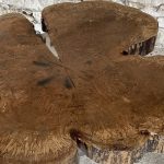 48 inch long Spalted maple cross-cut - Image 3