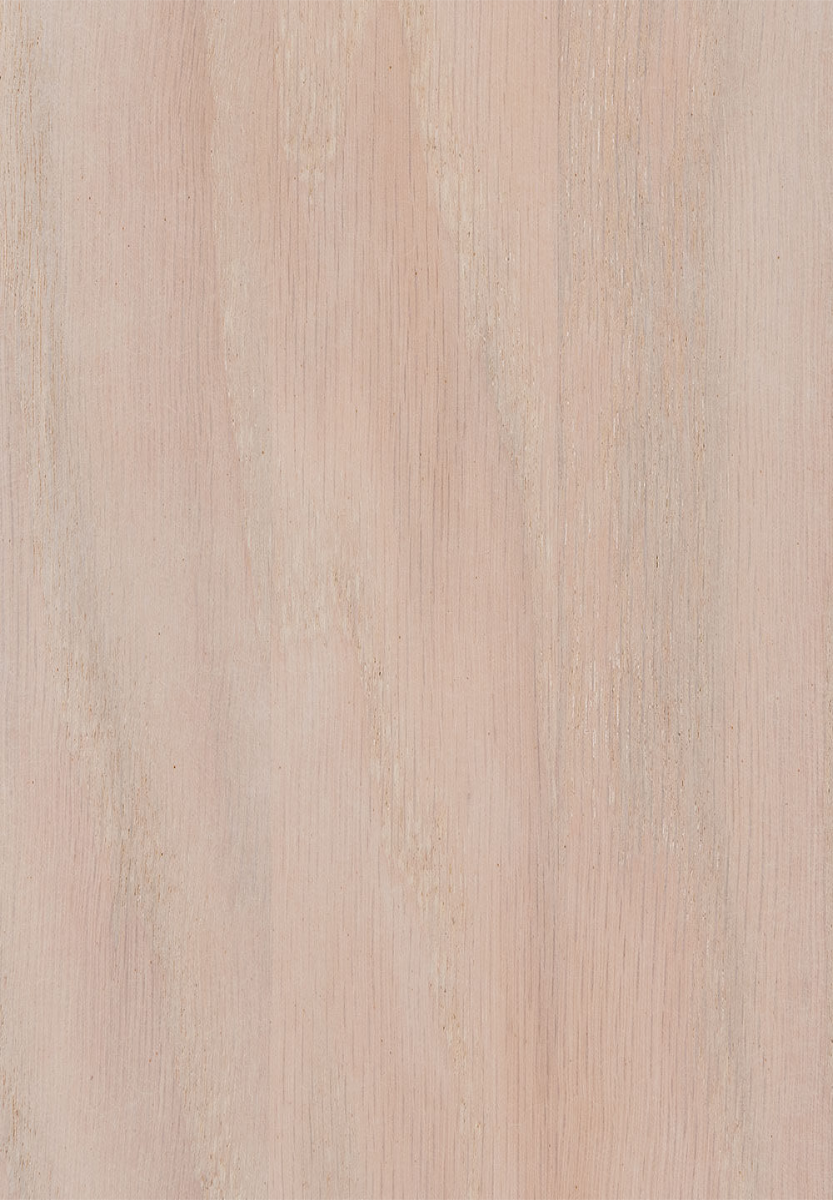 Frost Oak