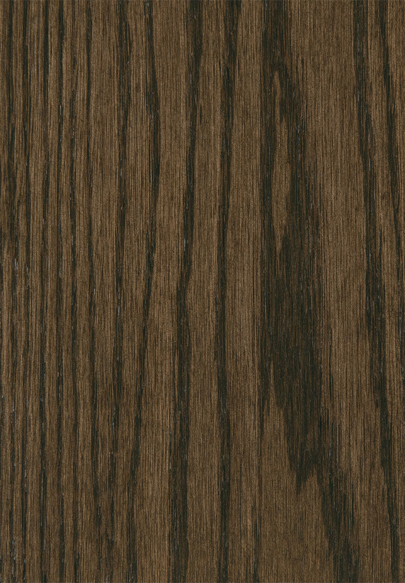 Shadow Oak