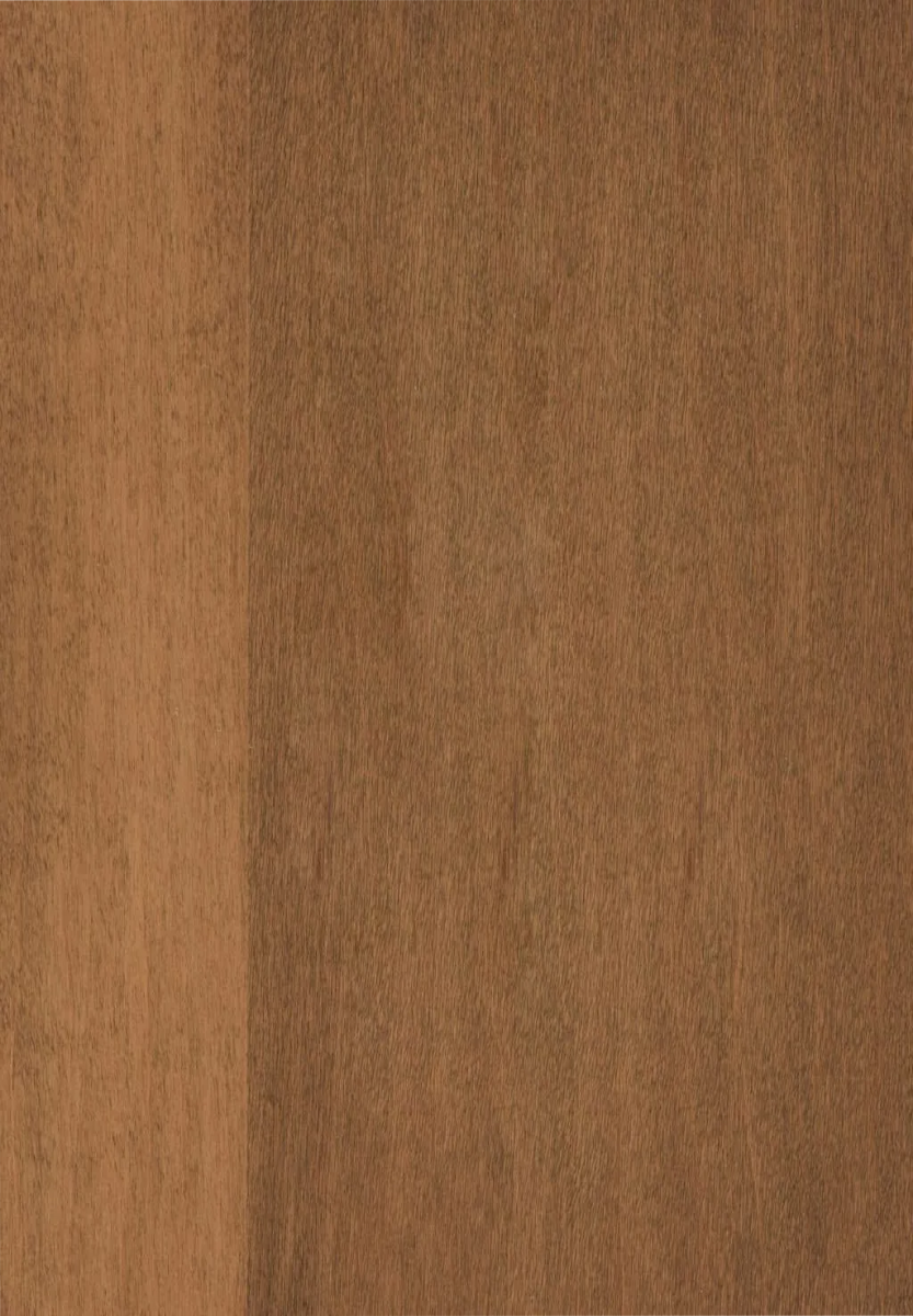 cappuccino maple
