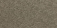 Driftwood Gray