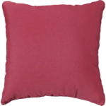 Throw Cushion