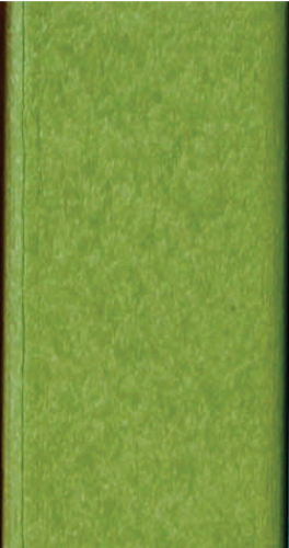 Tropical Lime Green