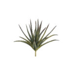 Agave Pick
