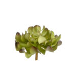 Succulent Pick