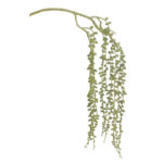 Sedum Spray