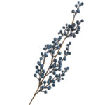 Blueberries Spray