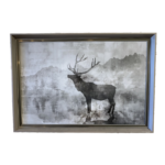 Deer Shadow