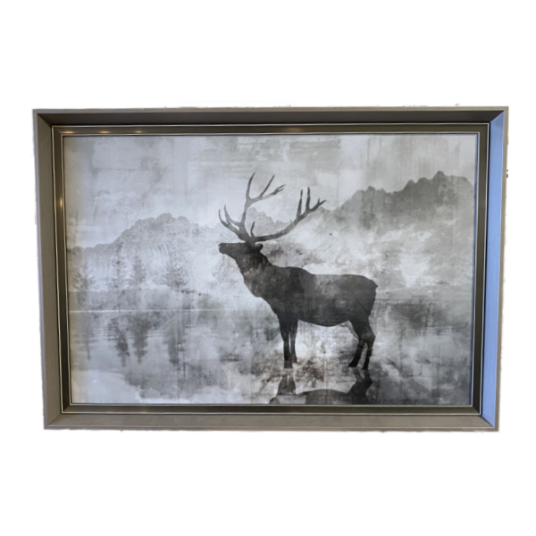 Deer Shadow
