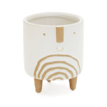 Planter Face