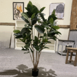 Broad Leaf tree