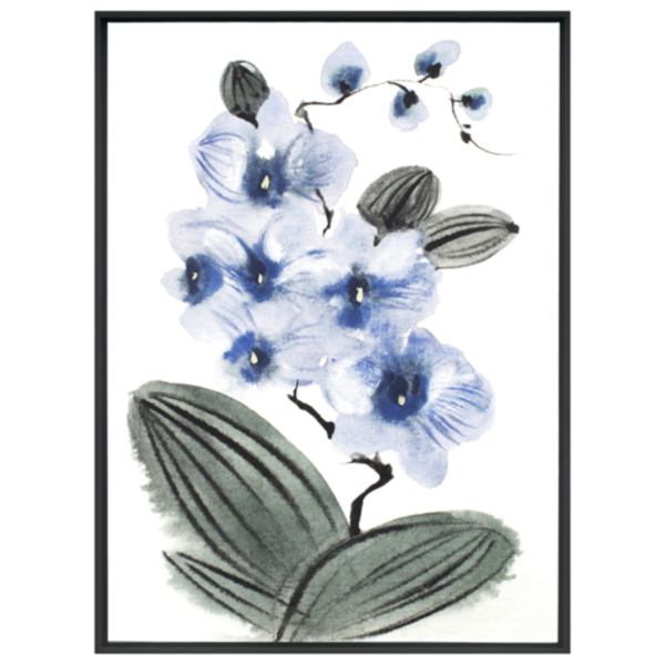 Orchid