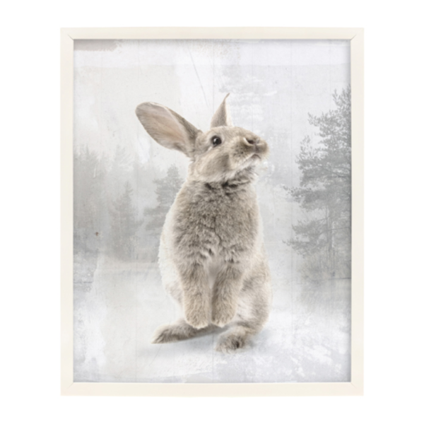 Rabbit